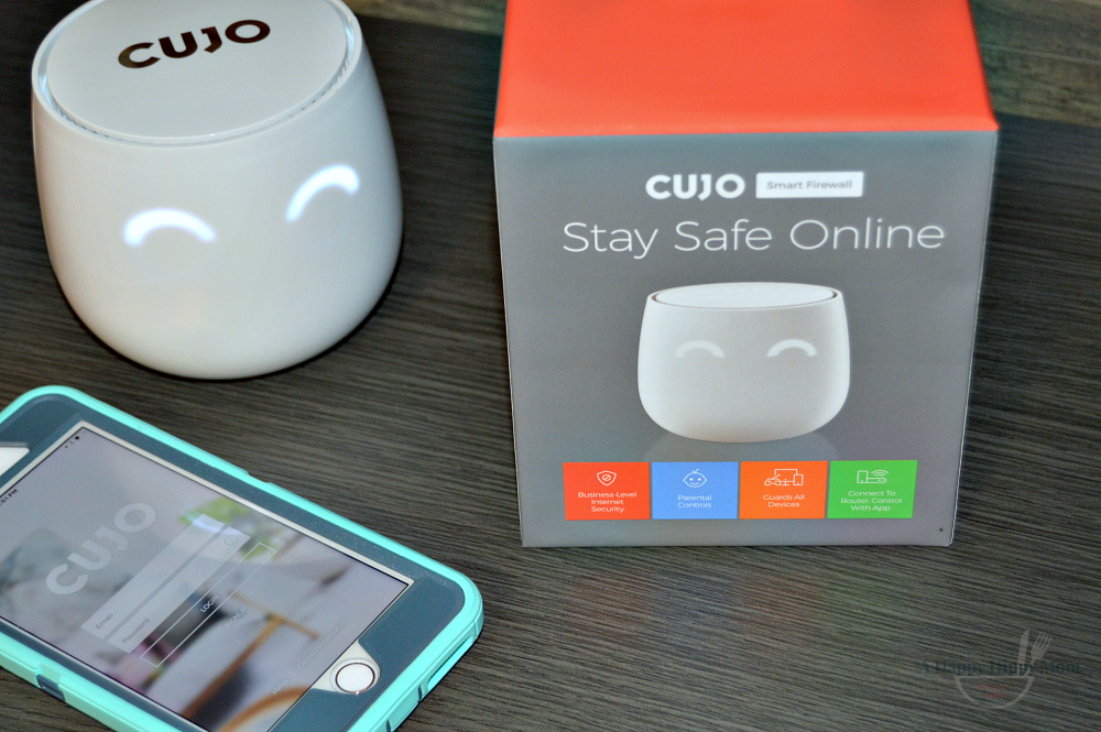 Read more about the article CUJO Internet Security